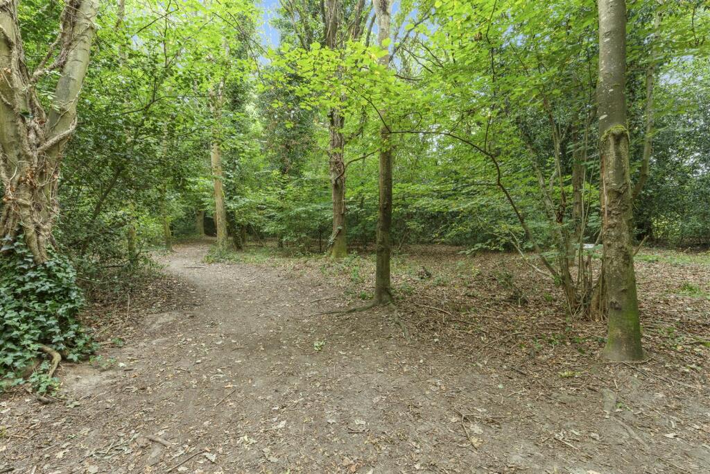 Woodland to the Rear