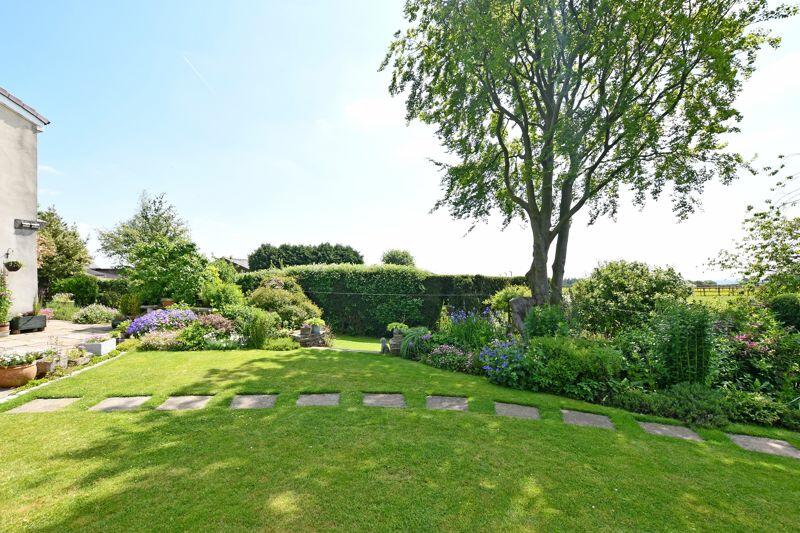 Part of Garden