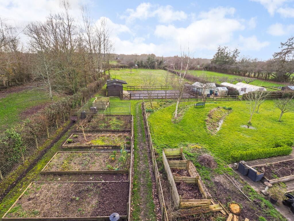 Vegetable Garden
