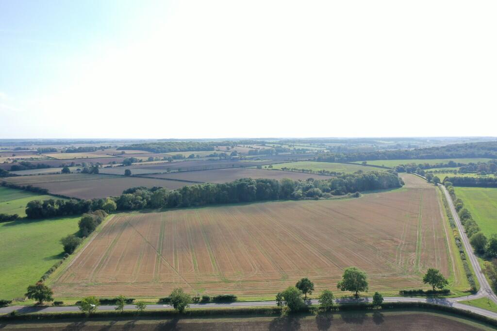 DJI_0955