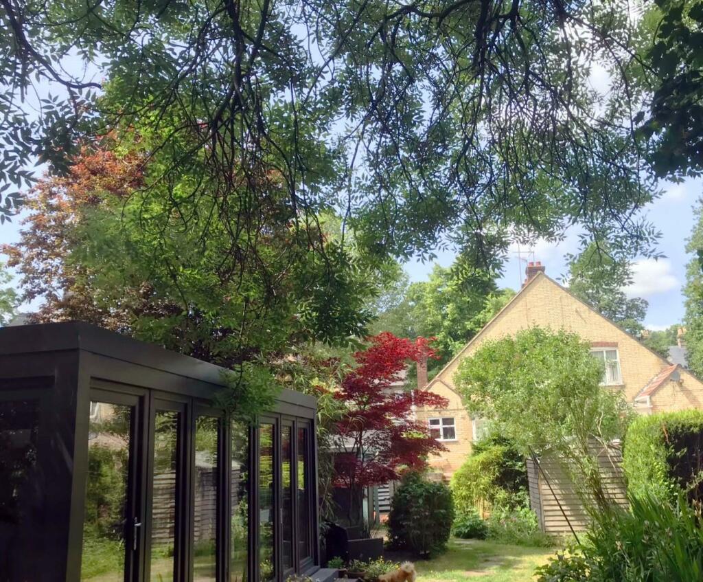 garden rearview 01.jpg