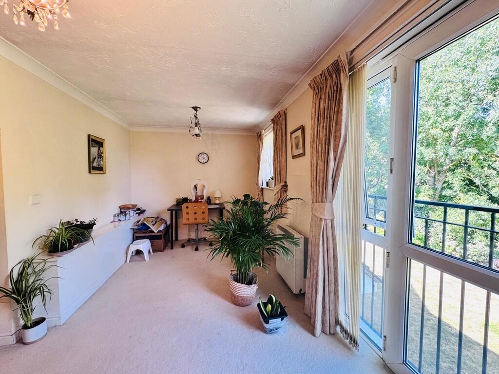 WhatsApp Image 20...