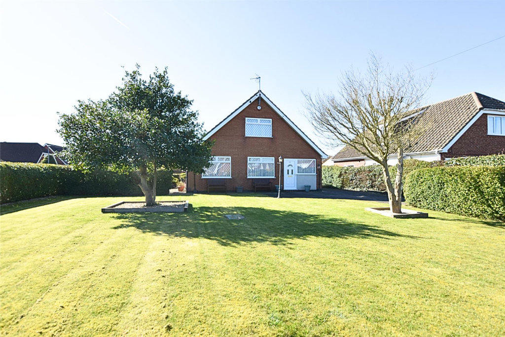 Untitled design - 2025-03-18T142953.160.png