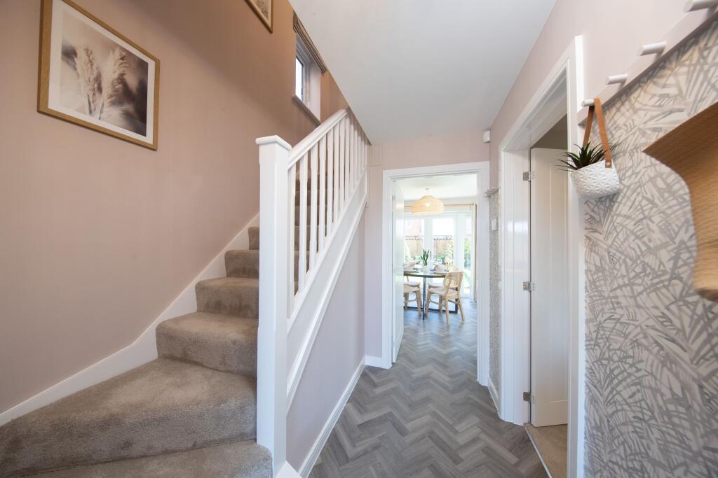 Showhome Photography