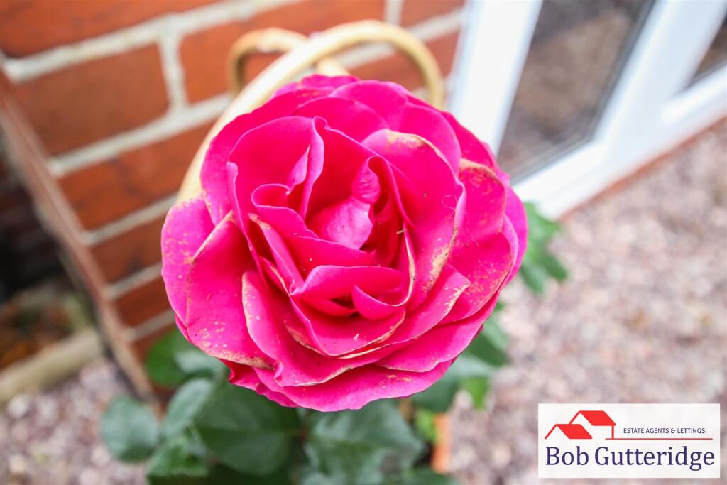 tlc_ad36a84e-5920-405c-8da7-c6595aa1b912_9372f48.j