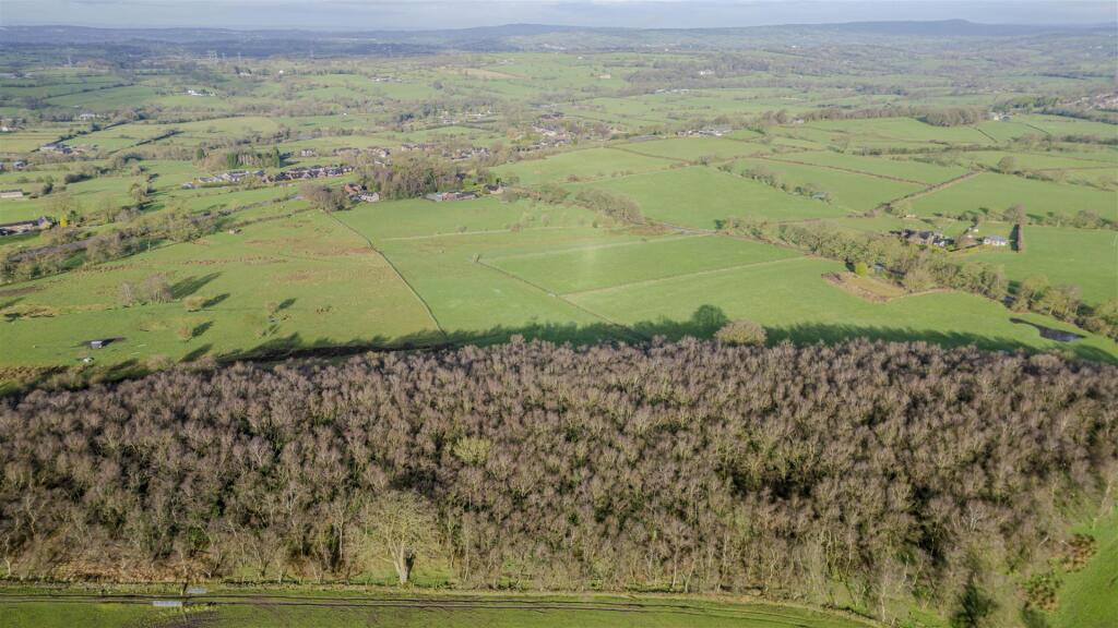 20240223-DJI_0286-Enhanced-SR.jpg