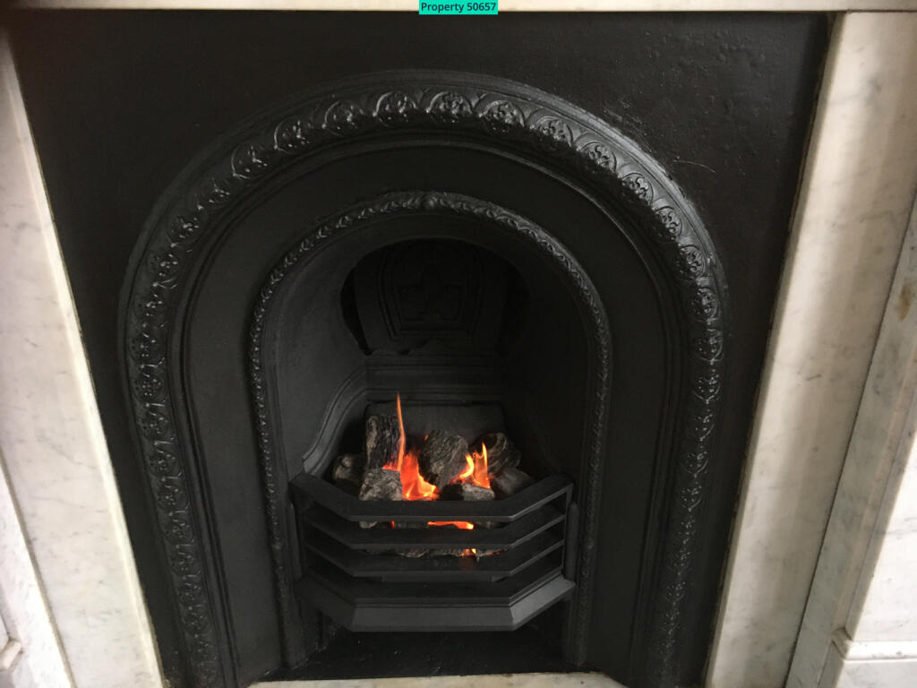 AWESOME ROARING FIREPLACE