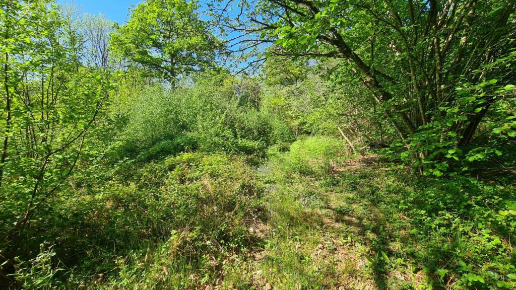 WhatsApp Image 2025-06-13 at 20.31.22 (2).jpeg