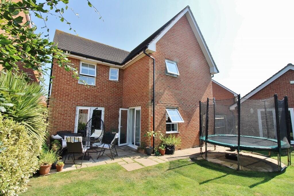 IMG_4907 (1024x68...