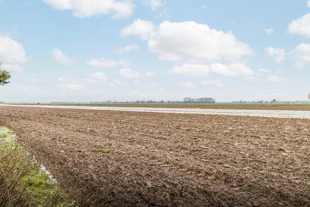 Benador (Gosberton Risegate)-16.jpg