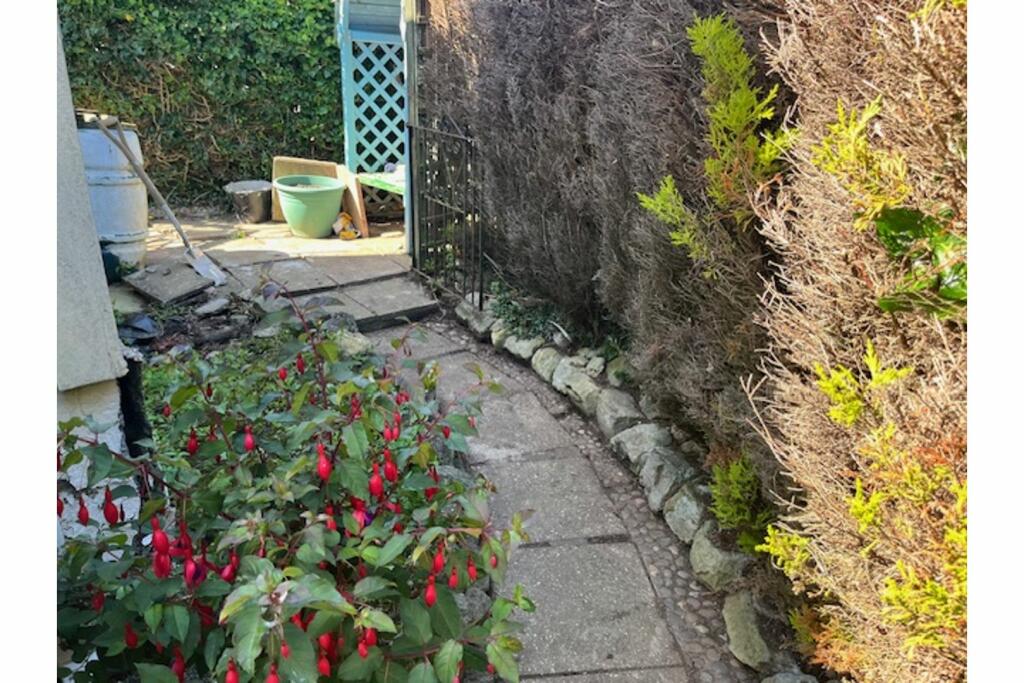 Side Garden