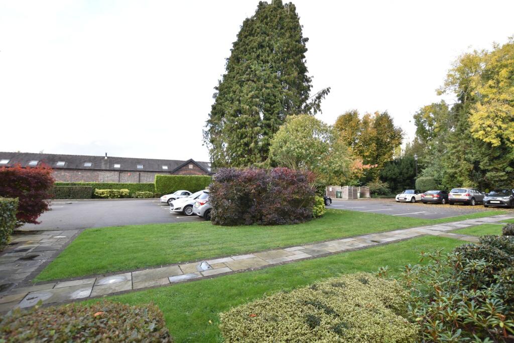 Image 12