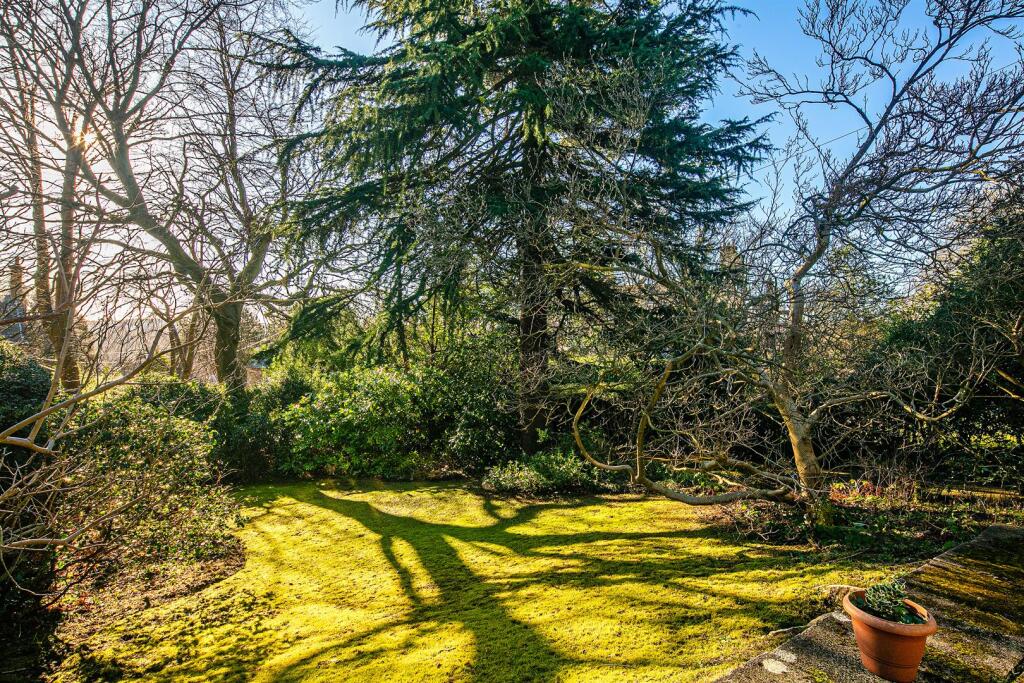 Front garden