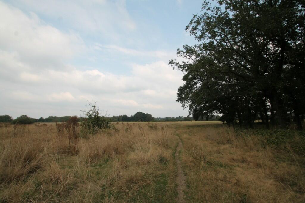 Wanstead Flats park