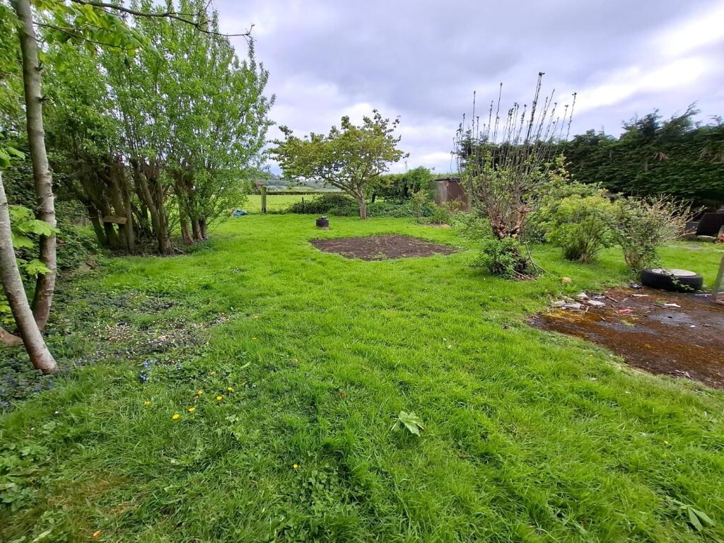 2 - rear garden.jpg