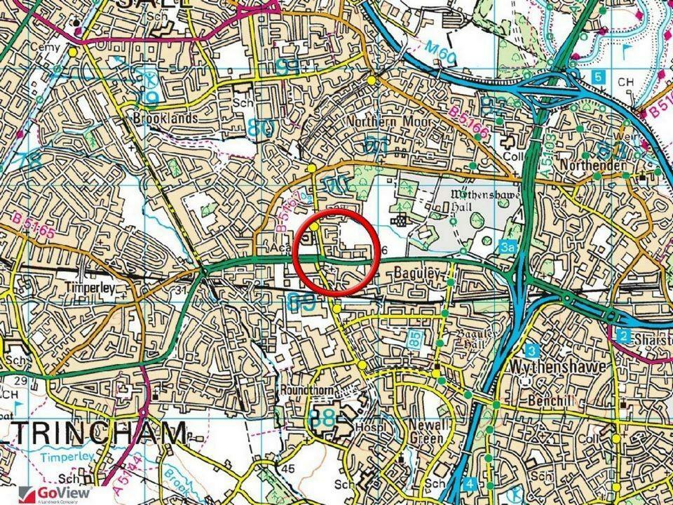 Town Plan