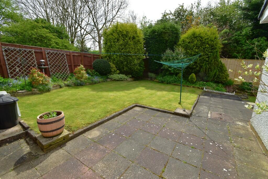 Rear Garden 3
