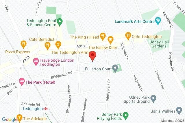 Google Maps Image