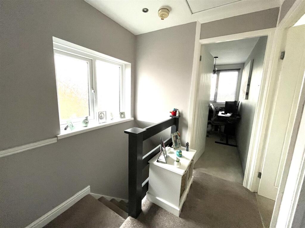 4 plovers landing.jpeg