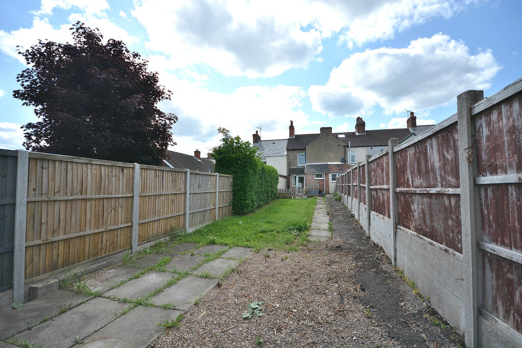 DSC 0515 T202510081141.jpg