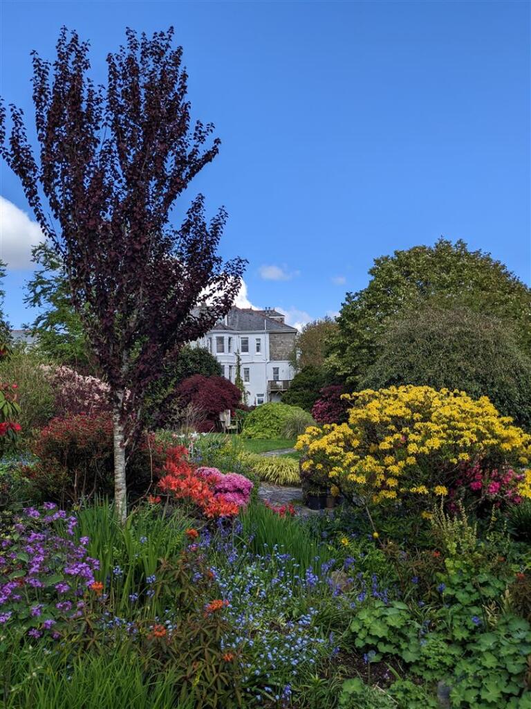 Vendor images (9).jpg