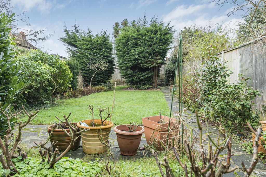 Garden (2)