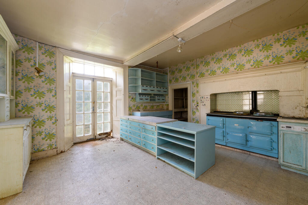 TEK HiRes 240521 100