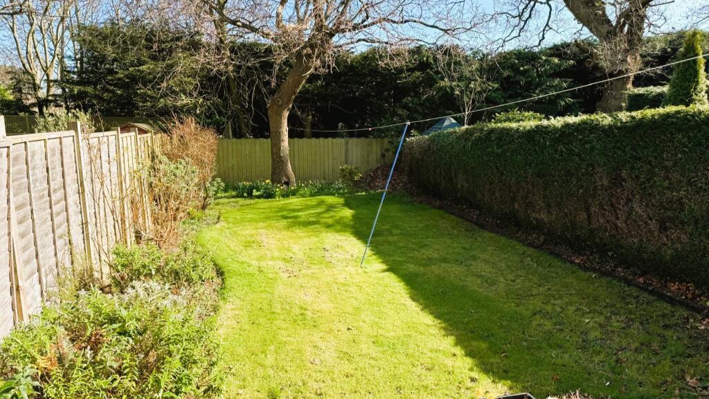 PHOTO-2025-03-26-13-39-58[2]