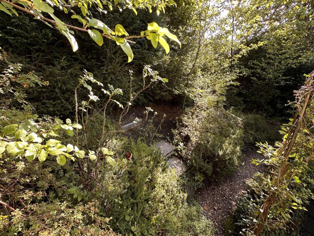 Garden.jpg