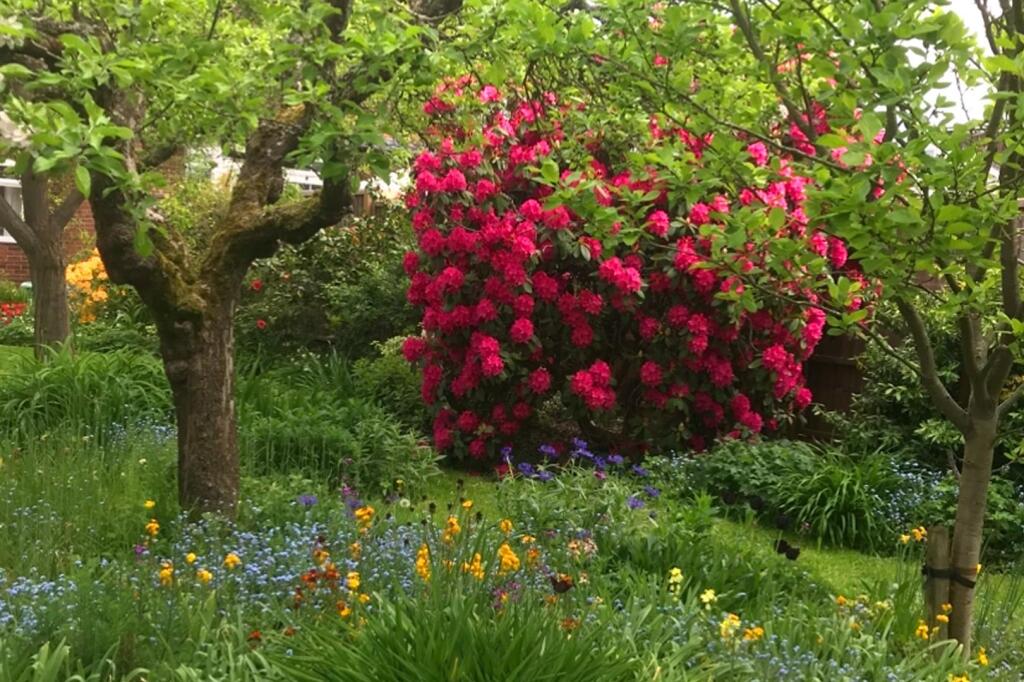 thumbnail_32HazelmereRd_Garden1.jpg