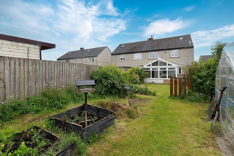 Back Garden