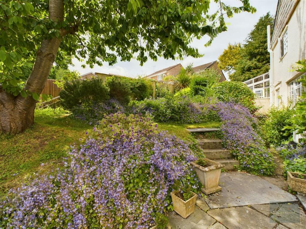 CAM02563G0-PR0081-ST