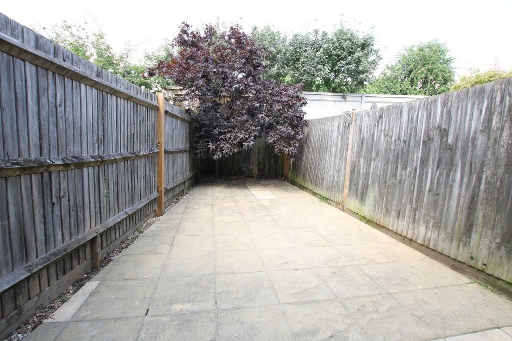 garden.JPG