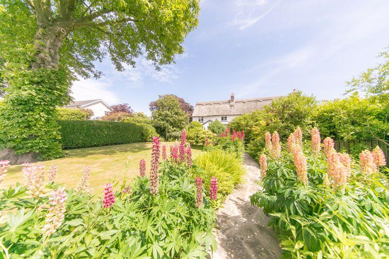 Front garden