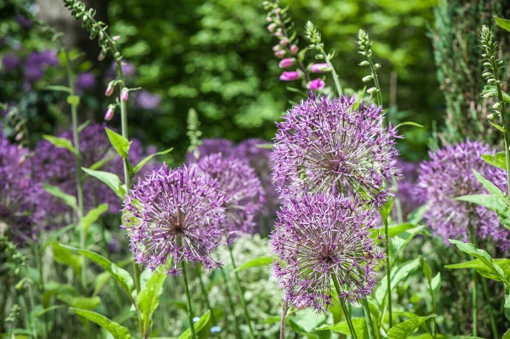 Gledhow Gardens-8-2.jpg