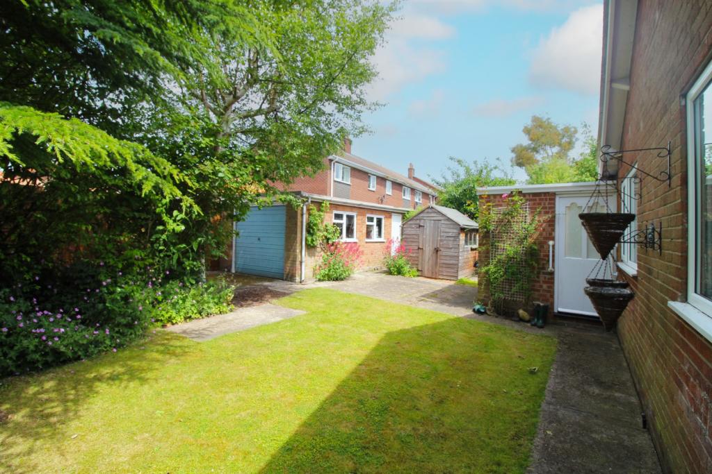 Back Garden