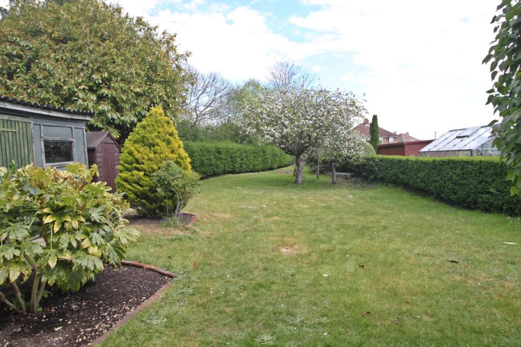 Garden new.JPG