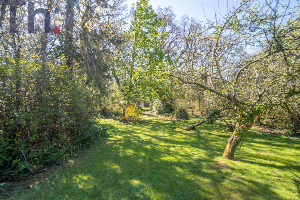 Grounds