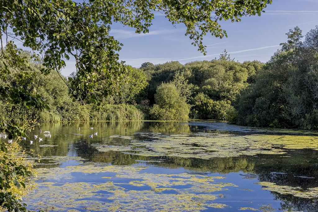 Anton Lakes - Beautiful Lake Views