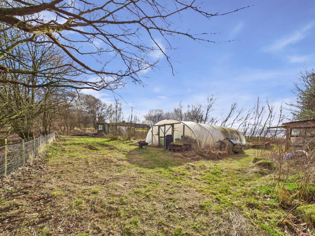 Polytunnel