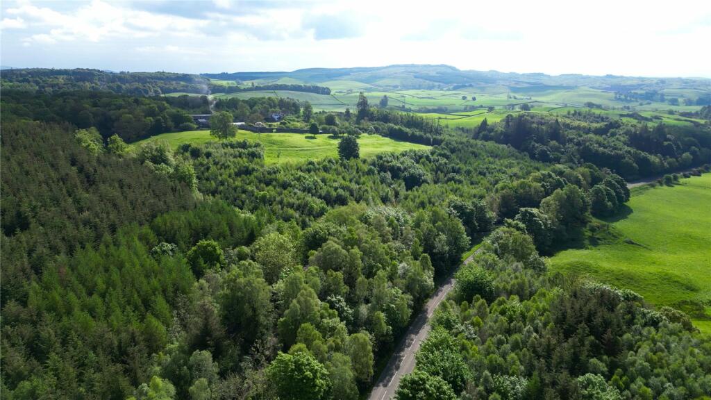 Parton Woodland