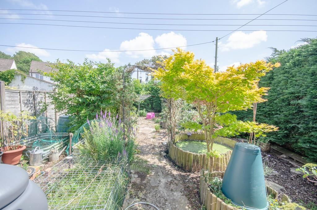 Rear garden.jpg