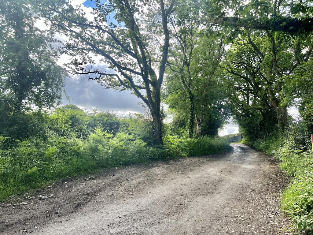 Lane to Property