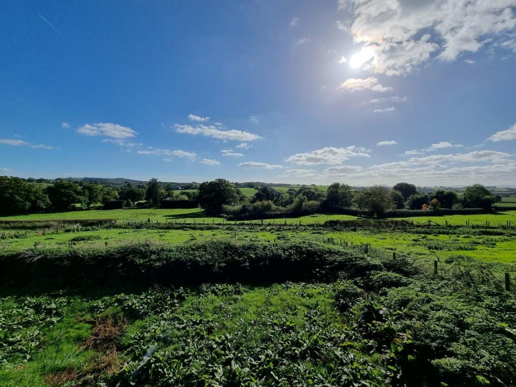 Cheriton Fitzpaine