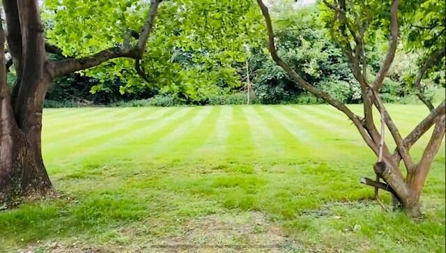 garden new