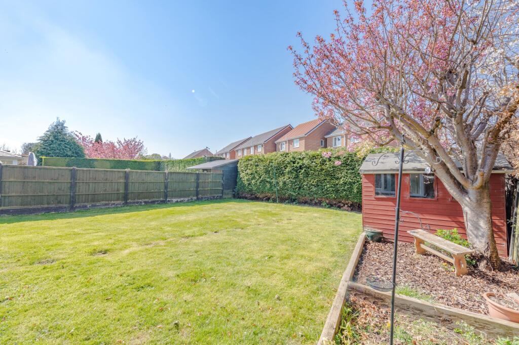 Back Garden