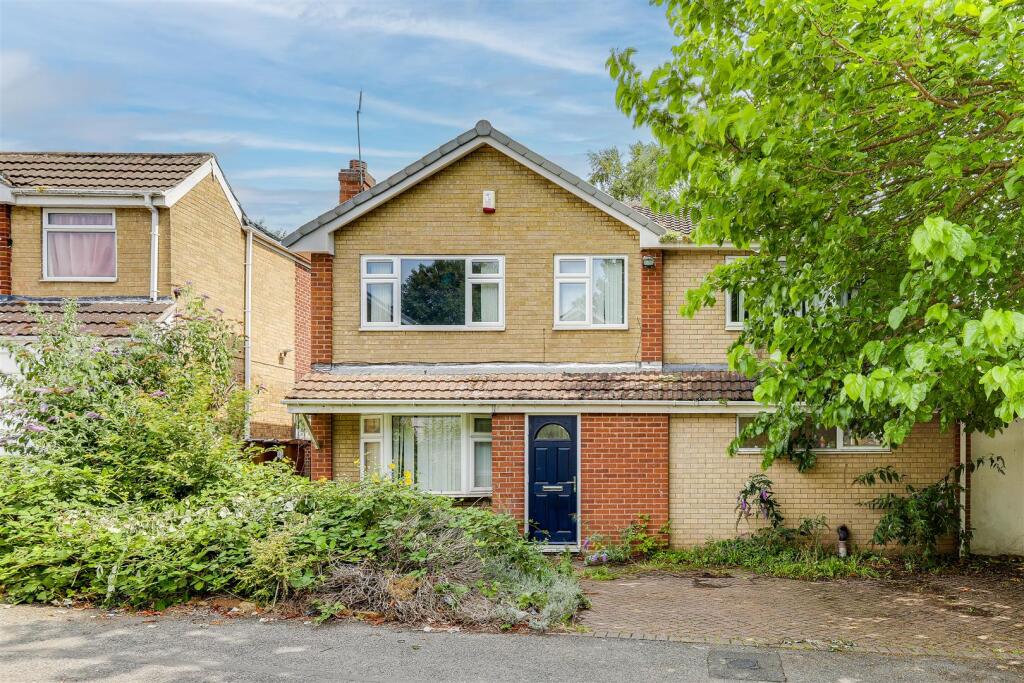 IMG_2511-IMG_2515 copy.jpg