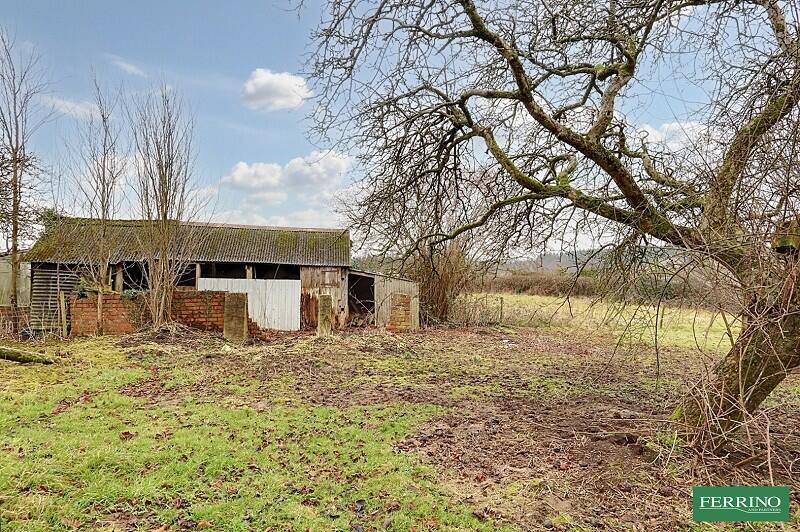 Orchard