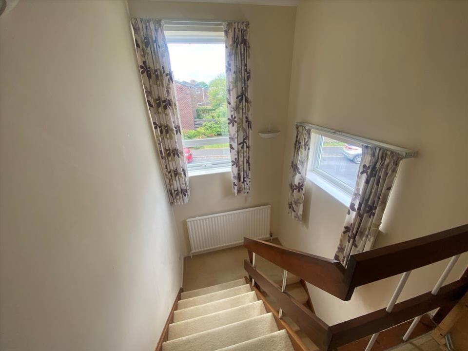 46103_D_46103_41380_IMG_08_0000