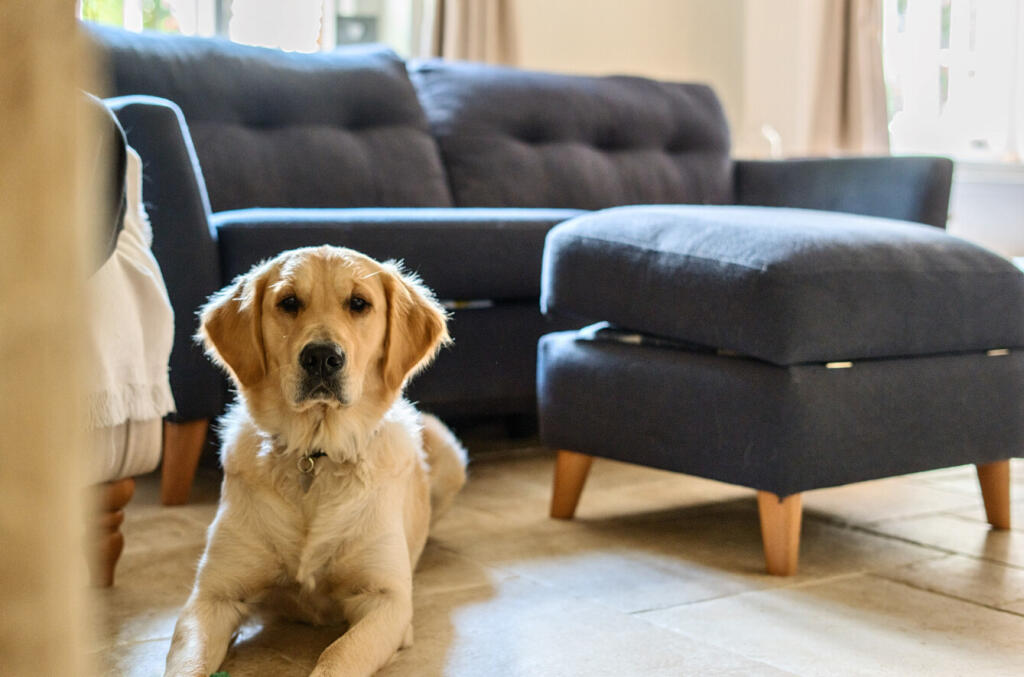 1310659-6-6862716...